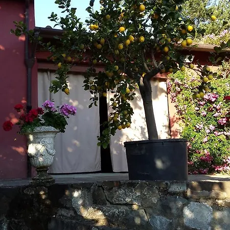 Séjour à la campagne Il Pezzatino *