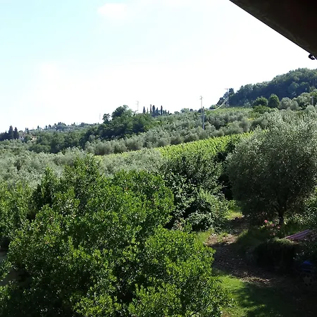 Il Pezzatino *