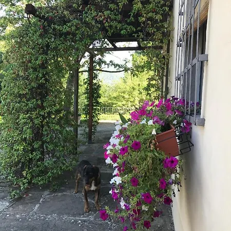 Il Pezzatino Country house *