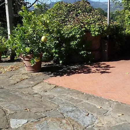 Il Pezzatino