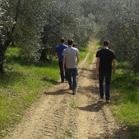 Il Pezzatino Séjour à la campagne *