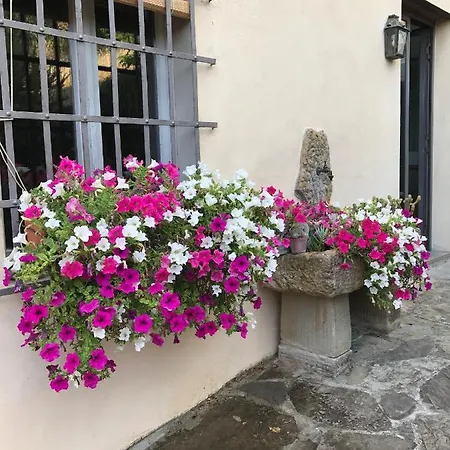 Il Pezzatino *