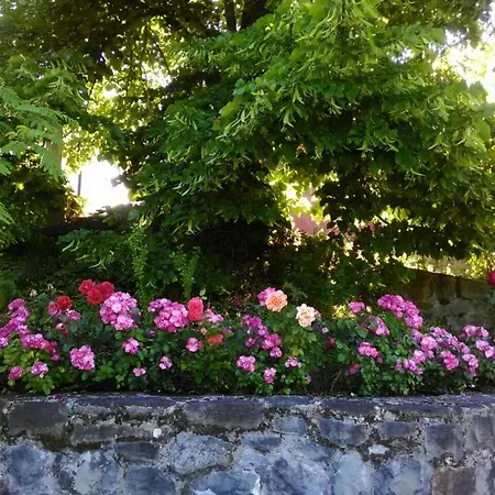 Country house Il Pezzatino *