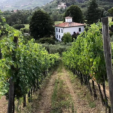 Il Pezzatino