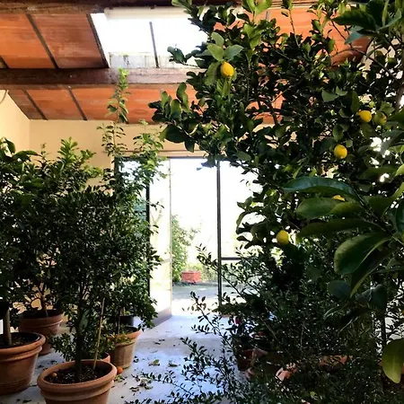Il Pezzatino Country house Rufina